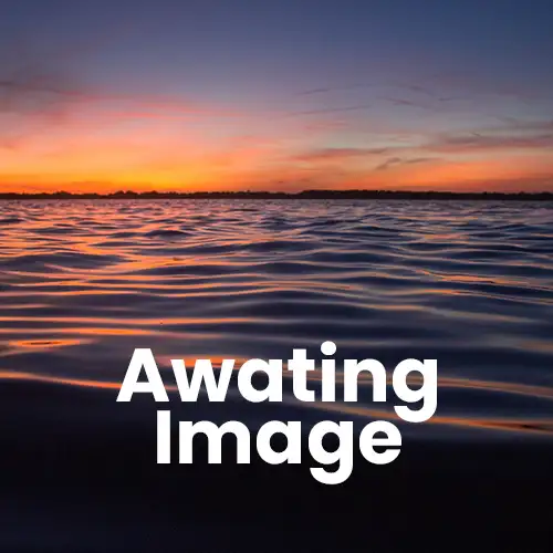 Awaiting Image